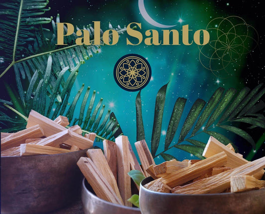 Was ist Palo Santo?