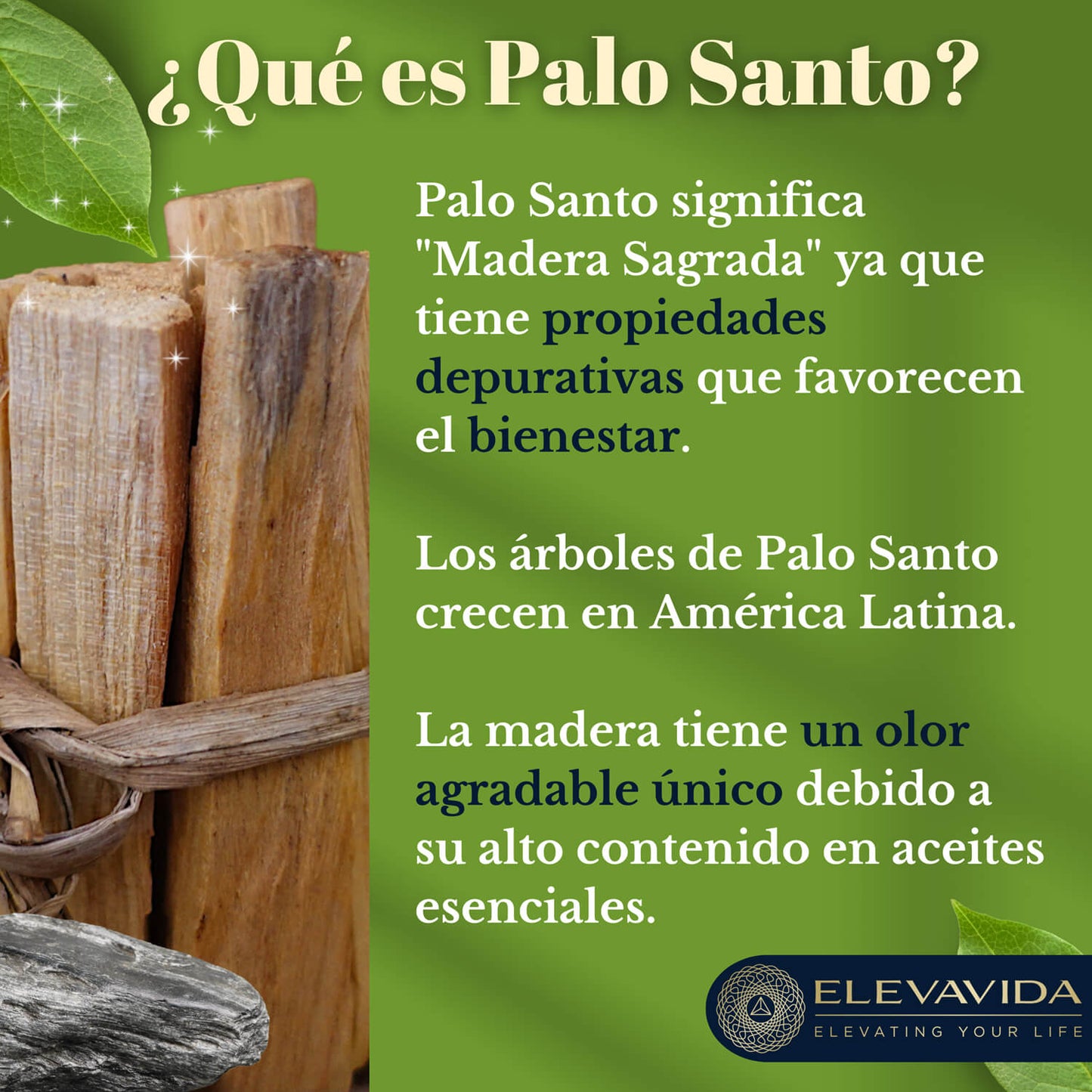 Palo Santo (90 g) (aprox. 9–11 palitos): madera sagrada de Perú, cosechada de forma sostenible - Bursera Graveolen