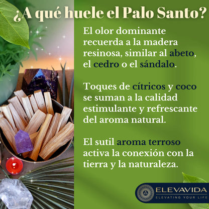 Palo Santo (90 g) (aprox. 9–11 palitos): madera sagrada de Perú, cosechada de forma sostenible - Bursera Graveolen