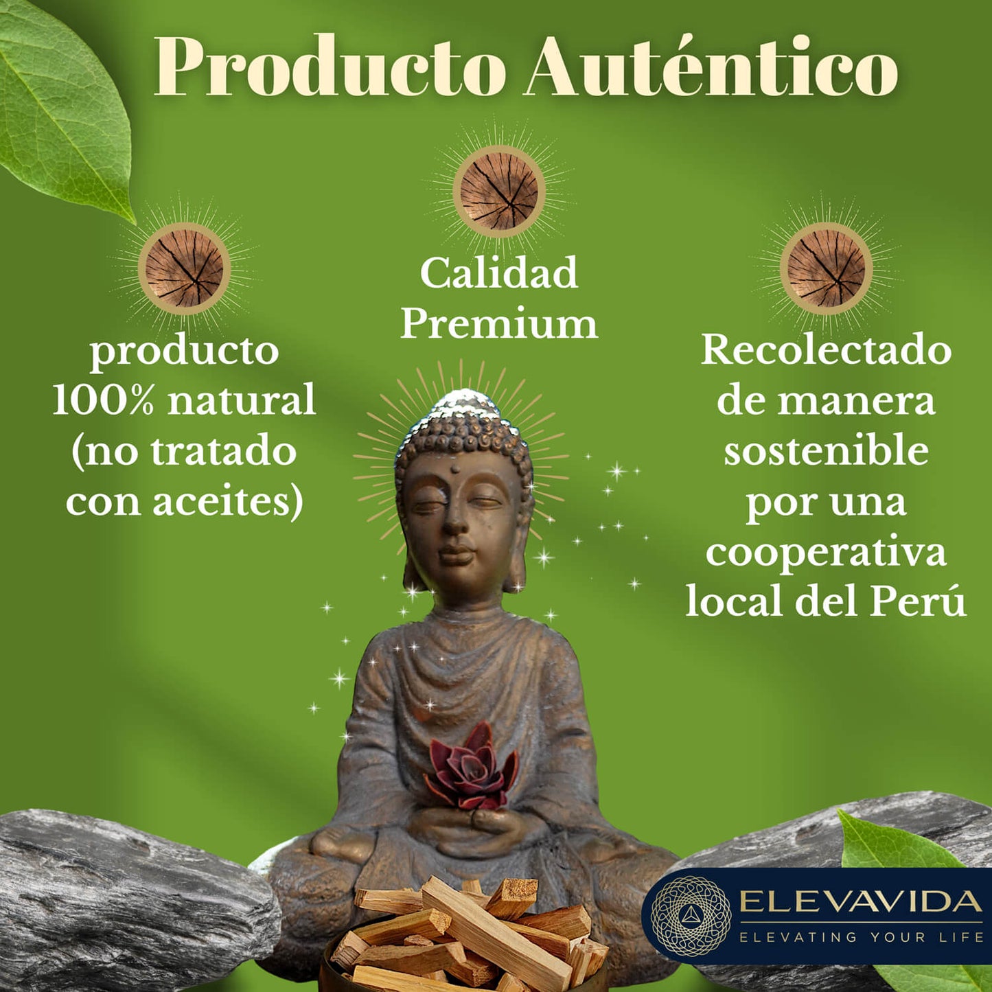 Palo Santo (90 g) (aprox. 9–11 palitos): madera sagrada de Perú, cosechada de forma sostenible - Bursera Graveolen