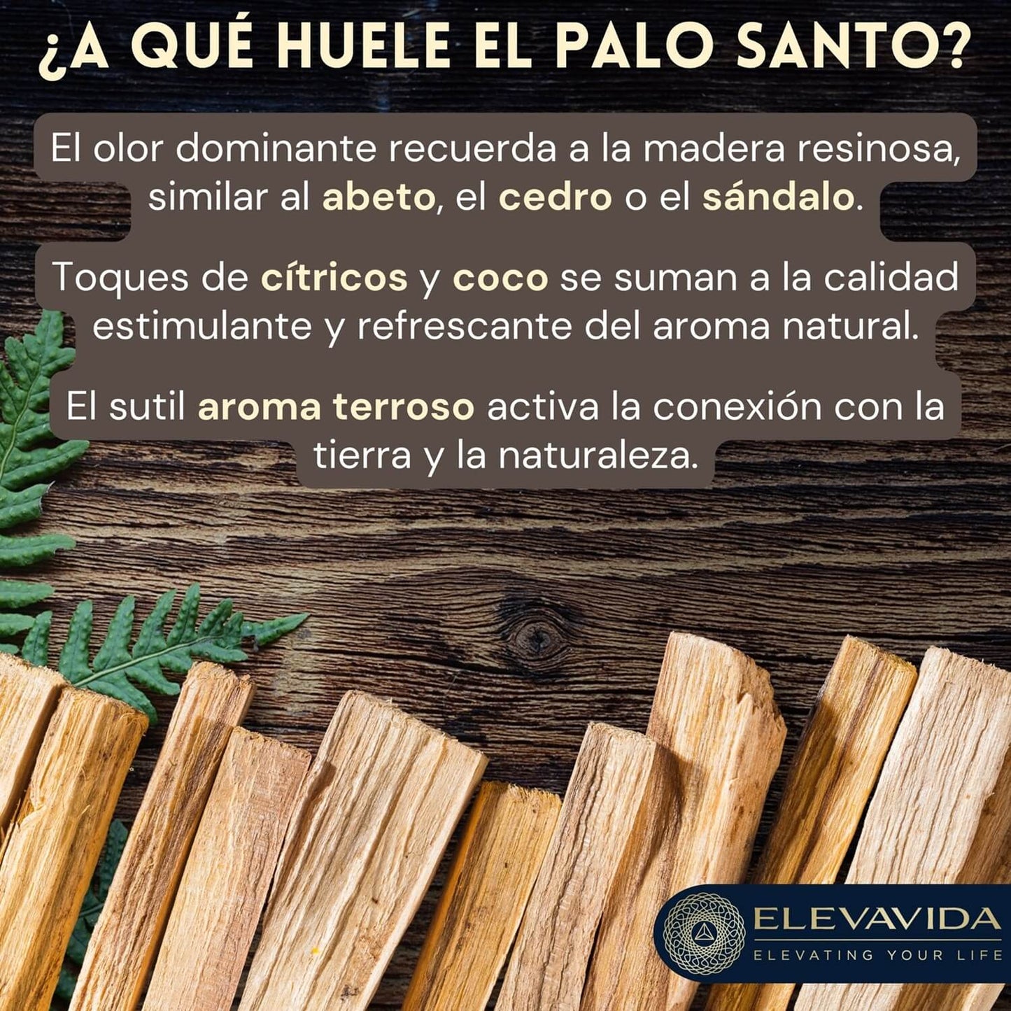 Palo Santo 500 g de madera fina de incienso de Perú - cosecha sostenible - Bursera Graveolen
