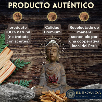 Palo Santo 500 g de madera fina de incienso de Perú - cosecha sostenible - Bursera Graveolen