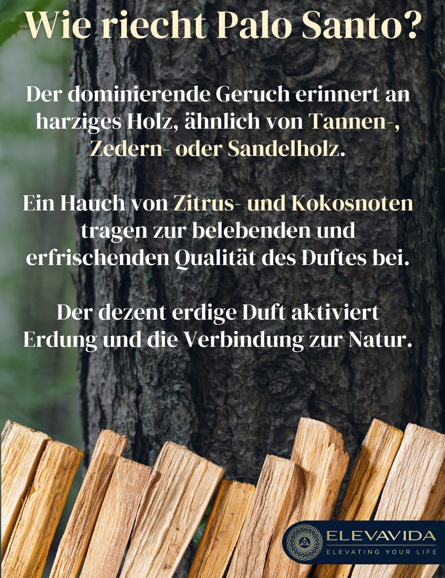 Palo Santo heiliges Holz (100 g) Räucherholz aus Peru - aromatisch duftend, nachhaltig gesammelt - Palo Santo Räucherstäbchen - Bursera Graveolen